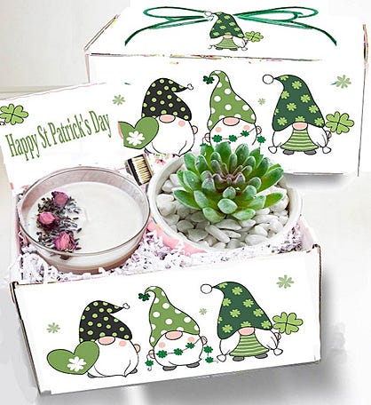 St Patrick's Day Spa Succulent Gift Box